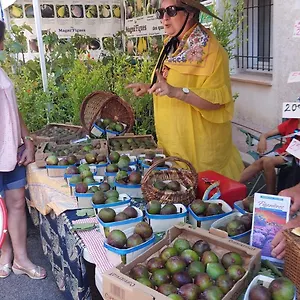 En Provence Draguignan